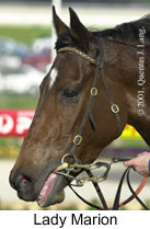 r7ladymarion2.jpg (10492 bytes)