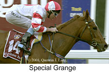 r8spgrange.jpg (14013 bytes)