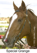 r8spgrange2.jpg (11087 bytes)