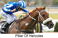 Pillar Of Hercules (16727 bytes)