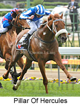 Pillar Of Hercules (16727 bytes)