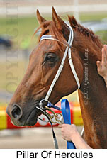 Pillar Of Hercules (16727 bytes)