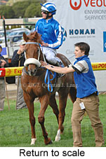 Return to scale (15472 bytes)