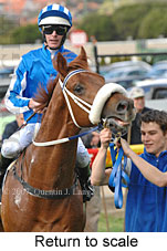 Return to scale (15472 bytes)