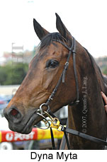 Dyna Myta (16727 bytes)