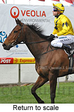 Return to scale (15472 bytes)