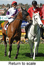 Return to scale (15472 bytes)