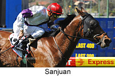 Sanjuan (16727 bytes)