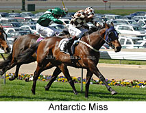 Antarctic Miss (16727 bytes)