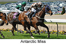 Antarctic Miss (16727 bytes)
