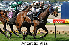 Antarctic Miss (16727 bytes)