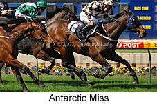 Antarctic Miss (16727 bytes)