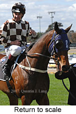 Return to scale (15472 bytes)