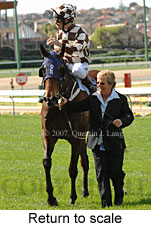 Return to scale (15472 bytes)