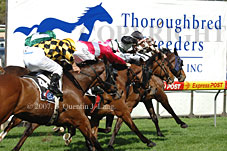 Thoroughbred breeders (15472 bytes)