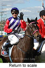 Return to scale (15472 bytes)