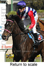 Return to scale (15472 bytes)