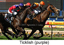 Ticklish (16727 bytes)