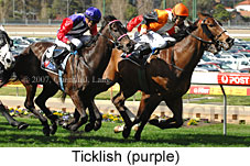 Ticklish (16727 bytes)