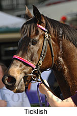 Ticklish (16727 bytes)