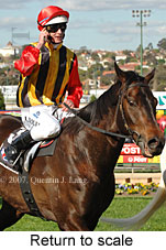 Return to scale (15472 bytes)