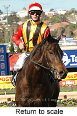 Return to scale (15472 bytes)