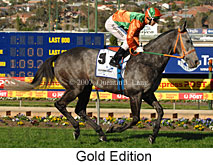 Gold Edition (16727 bytes)