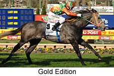 Gold Edition (16727 bytes)