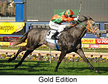 Gold Edition (17783 bytes)