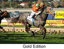 Gold Edition (16727 bytes)