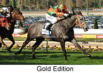 Gold Edition (16727 bytes)