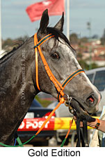 Gold Edition (16727 bytes)