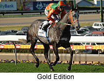 Gold Edition (16727 bytes)