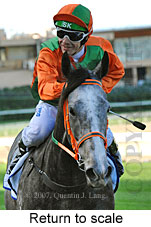 Return to scale (15472 bytes)