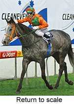 Return to scale (15472 bytes)