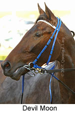 Devil Moon (16727 bytes)