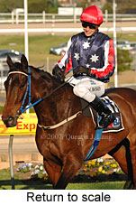 Return to scale (15472 bytes)