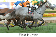 Field Hunter (16727 bytes)