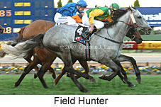 Field Hunter (16727 bytes)