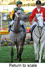 Return to scale (15472 bytes)