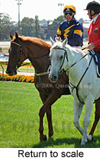 Return to scale (15472 bytes)