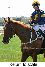 Return to scale (15472 bytes)