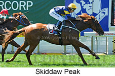 Skiddaw Peak (16727 bytes)