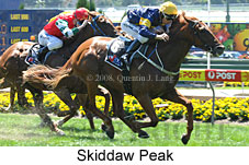 Skiddaw Peak (16727 bytes)