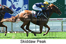 Skiddaw Peak (16727 bytes)