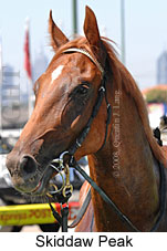 Skiddaw Peak (16727 bytes)