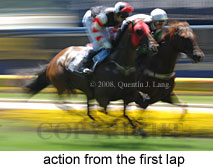 action (16727 bytes)