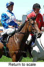 Return to scale (15472 bytes)