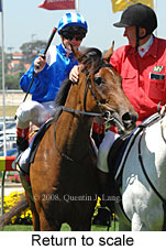 Return to scale (15472 bytes)