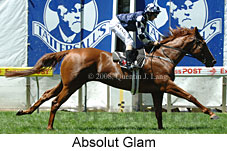 Absolut Glam (16727 bytes)